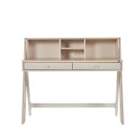 Molly Study Table