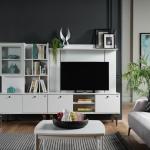 Roxy Tv Unit