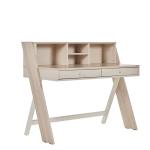 Molly Study Table