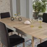 Lena Dining Table (Extendable) + Lena Chair (6220)