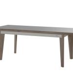 Elizya Dining Table (Extendable) + Elizya Chair (6080)