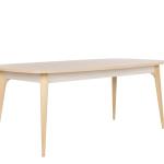 Mitra Dining Table (Fixed)