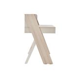Molly Study Table