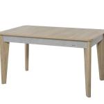 Lena Mini Dining Table (Extendable) + Lena Chair (6219)
