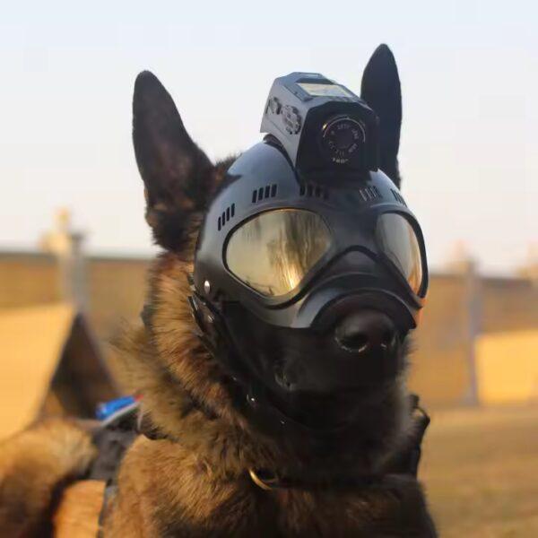 Navio Vision Dog Smart Helmet NVSW50 | 4G wifi live Streaming