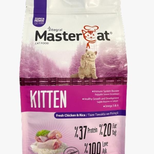 MasterCat Kitten